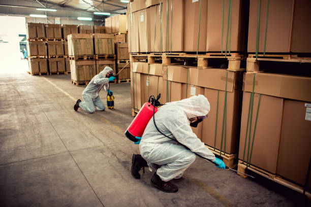 Best Best Pest Control Companies  in Anaconda, MT