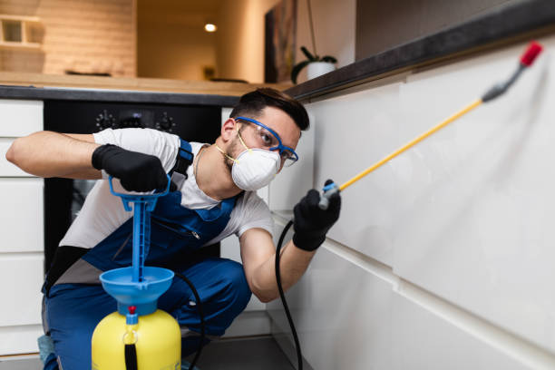 Best Residential Pest Control  in Anaconda, MT