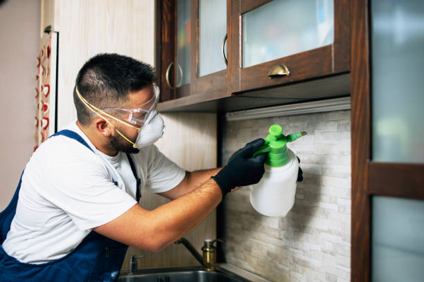 Trusted Anaconda, MT Pest Control Experts