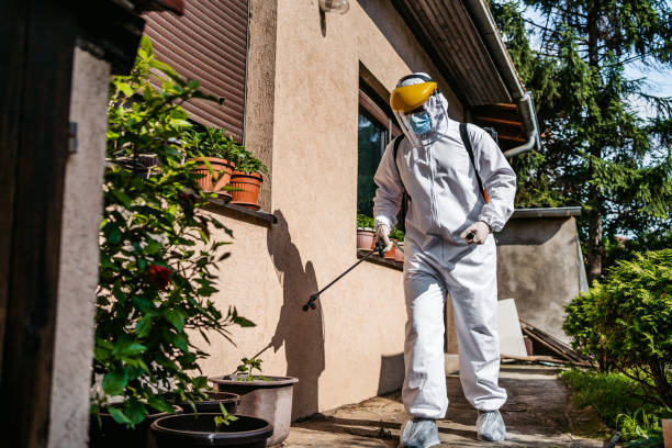Best Pest Prevention Services  in Anaconda, MT