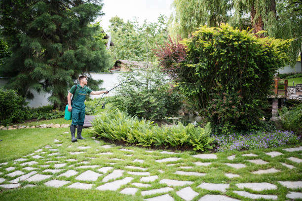 Best Local Pest Control Services  in Anaconda, MT