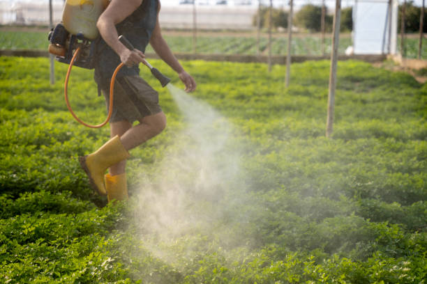 Best Mosquito Control Services  in Anaconda, MT