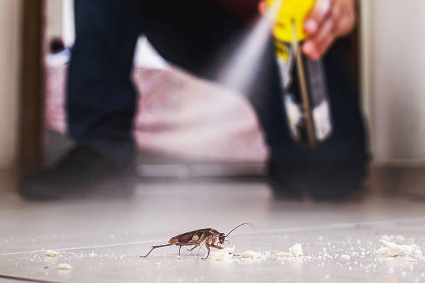 Best Pest Removal Services  in Anaconda, MT
