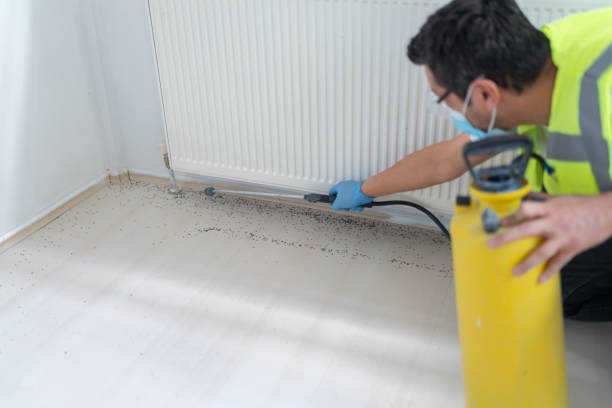 Best Commercial Pest Control Services  in Anaconda, MT