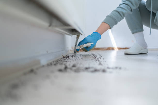 Best Termite Control Services  in Anaconda, MT